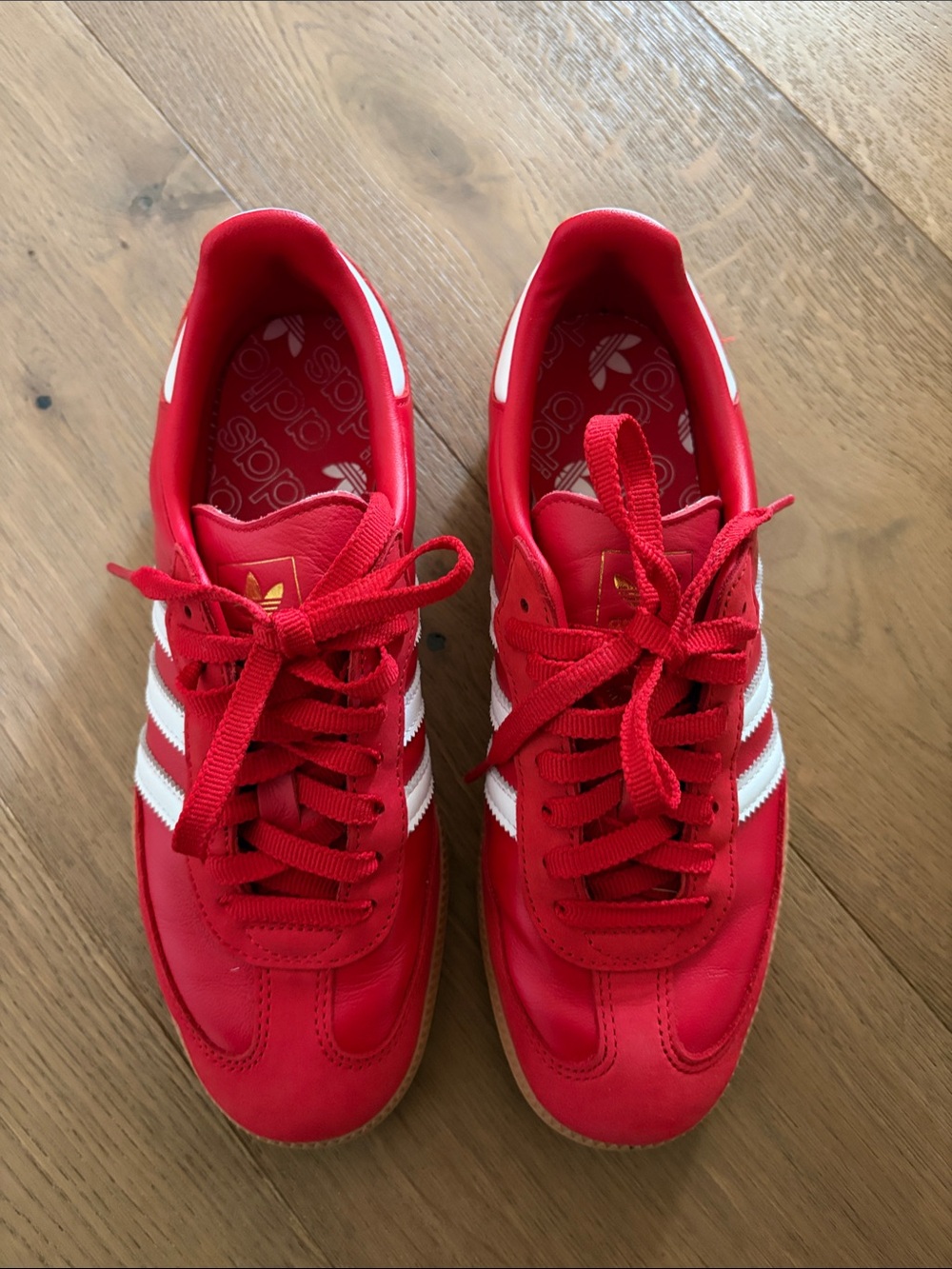 Adidas Samba red